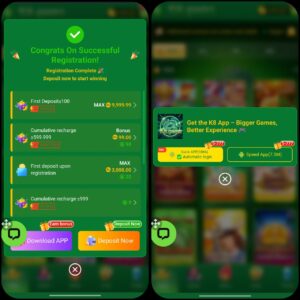288 Win Game Download APK New Real Earning money App 2