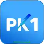 PK1 Game Logo